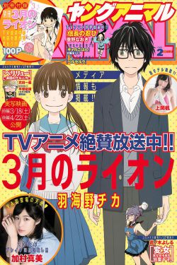 新仙鹤神针